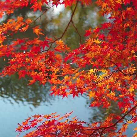 Stay Sakura Kyoto Nijo Castle West I מראה חיצוני תמונה