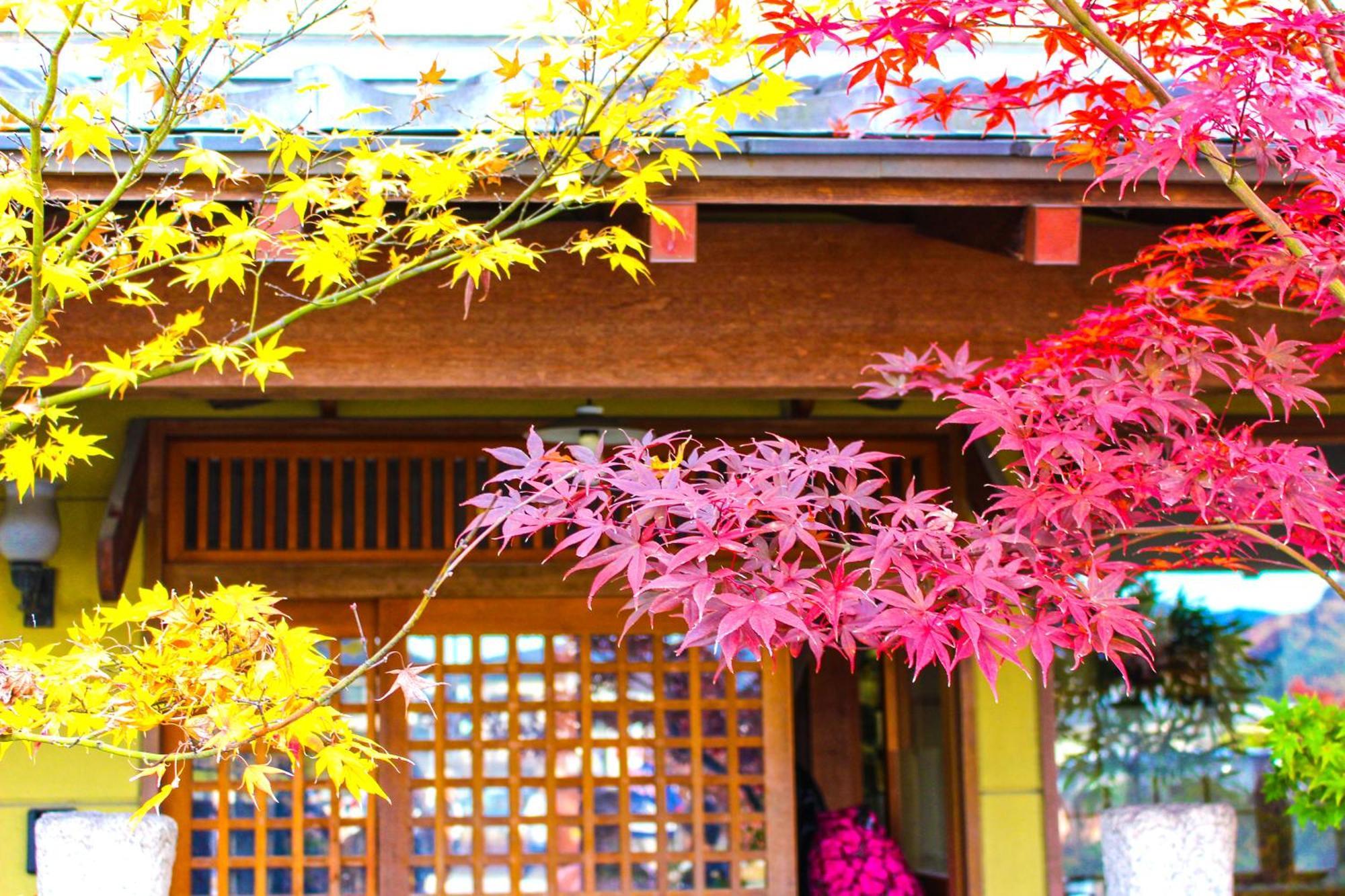 Stay Sakura Kyoto Nijo Castle West I מראה חיצוני תמונה